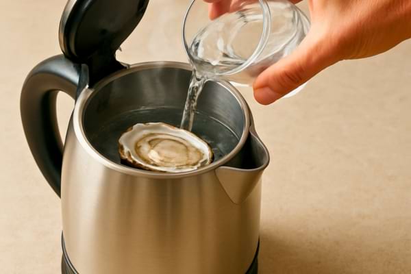 Bouilloire électrique ouverte sur un plan de travail, on voit une coquille d’huître