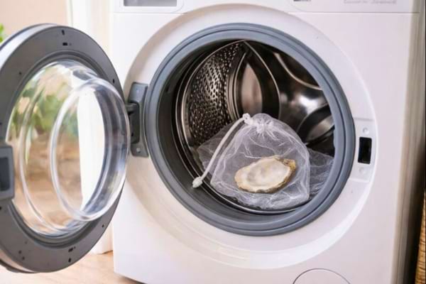 Porte de machine à laver ouverte, tambour visible, une coquille d’huître propre posée