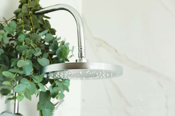 Pomme de douche moderne avec branches d eucalyptus vertes creant une ambiance naturelle et apaisante dans la salle de bain