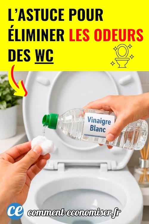 du vinaigre blanc vers&eacute; sur un coton pour &eacute;liminer les odeurs de WC