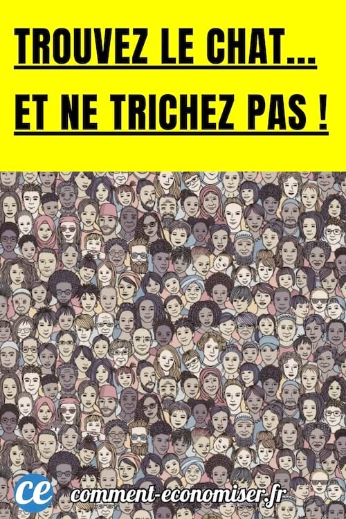 une énigme visuelle pour trouver le chat