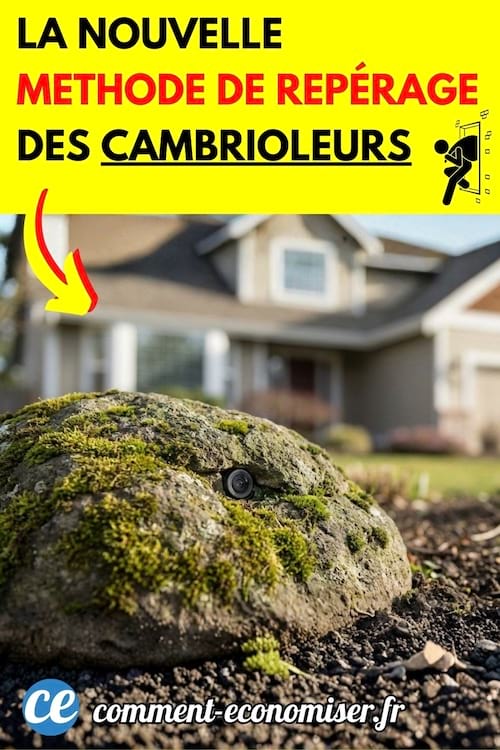 une petite caméra caché sur une pierre pour espionner les maisons