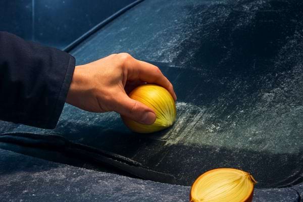 Une personne frotte un oignon coupe sur un pare-brise recouvert de givre pour faciliter le degivrage.