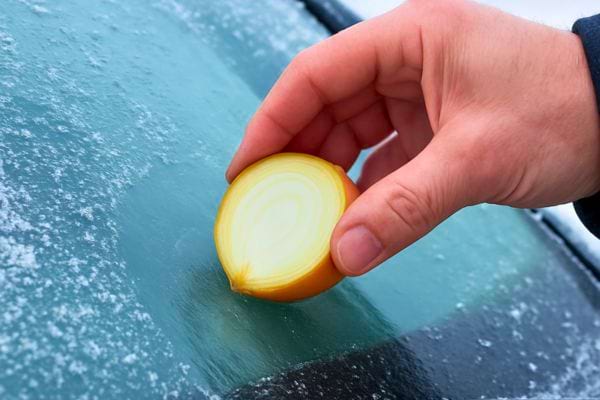 Une main applique un demi-oignon sur un pare-brise gele afin d’empecher la formation du givre.