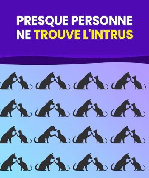 défi visuel pour trouver l'intrus sur l'image
