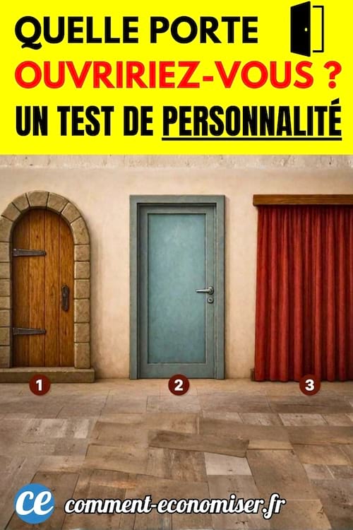 Quelle porte ouvrir dans cette image