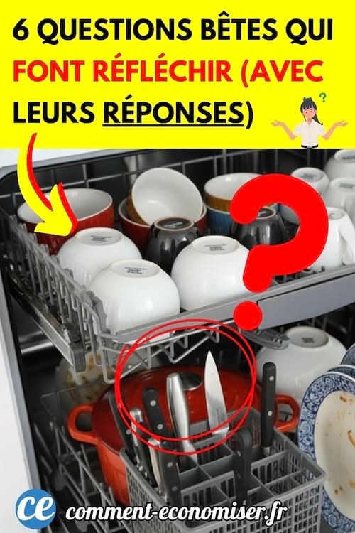 un lave vaisselle avec des couteaux la pointe en haut et des couteaux la pointe en bas