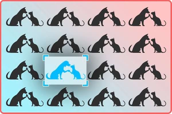 réponse au défi visuel