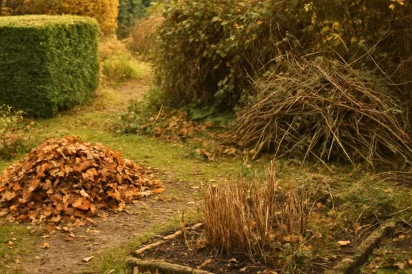 des tas de feuilles et branches laisses au sol pour proteger la faune pendant l hiver