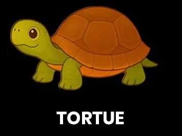 une tortue
