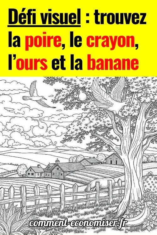Défi visuel qui consiste à trouver la poire, le crayon, l’ours et la banane cachés dans une image