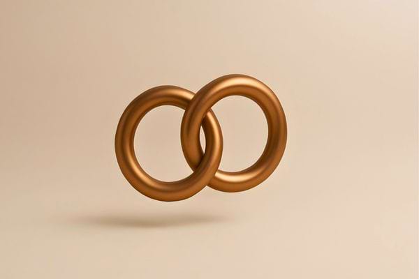 Deux anneaux metalliques sont lies ensemble. Ils representent l union le lien ou l engagement durable.