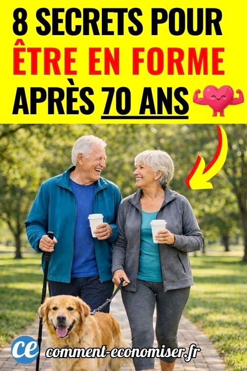 Couple de seniors actifs se promenant avec leur chien dans un parc