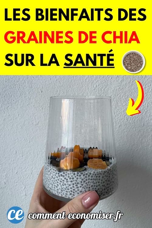 un pudding de graines de chia avec des abricots secs dans un verre
