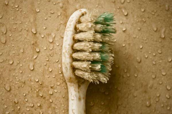brosse corporelle humide avec poils naturels sur surface mouillee