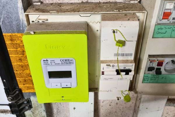 gros plan dune mouche posee sur un rebord de fenetre eclaire par la lumiere du soleil