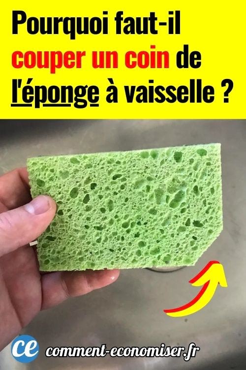 Éponge de vaisselle verte avec un coin coupé tenue dans une main