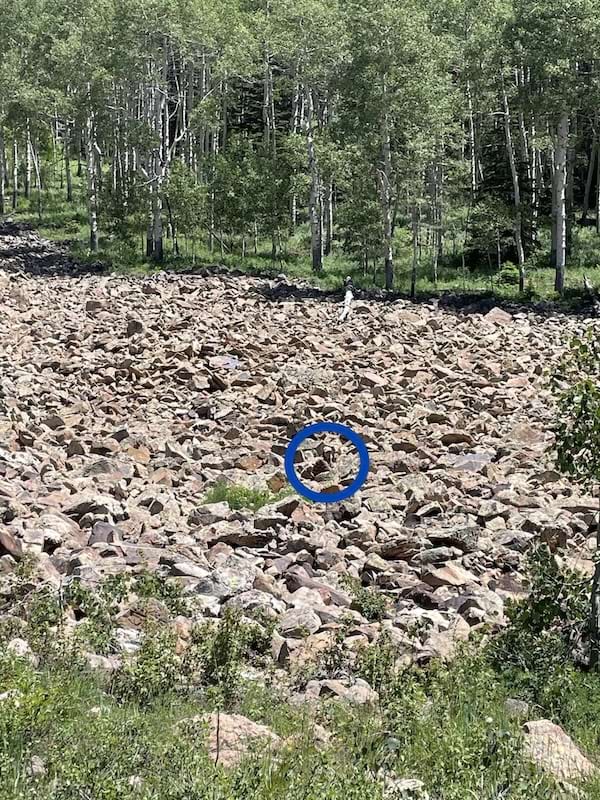 r&eacute;ponse du d&eacute;fi visuel o&ugrave; on voit la femme cach&eacute;e au milieu des rochers