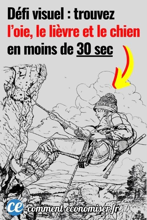 D&eacute;fi visuel : trouvez l'oie, le li&egrave;vre et le chien cach&eacute;s dans cette illustration de montagne en noir et blanc 