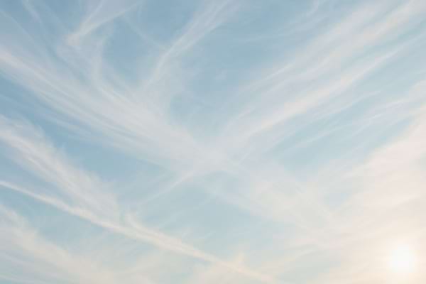 tra&icirc;n&eacute;es d&rsquo;avion &eacute;tal&eacute;es par le vent, formant un voile de type cirrus