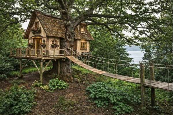 une maison dans les bois