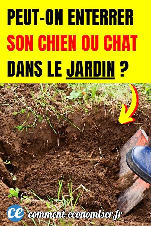 une personne creuse un trou dans un jardin avec une pelle