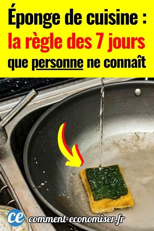 Éponge de cuisine sale et humide dans un évier avec de l'eau qui coule