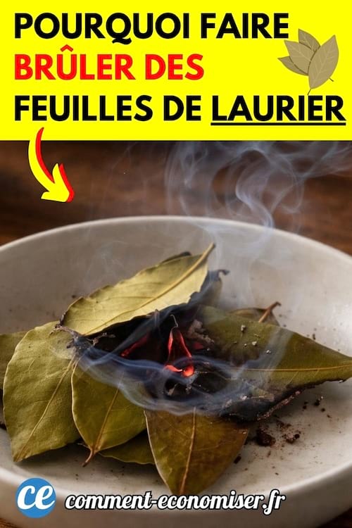 des feuilles de laurier qui brûlent dans un bol