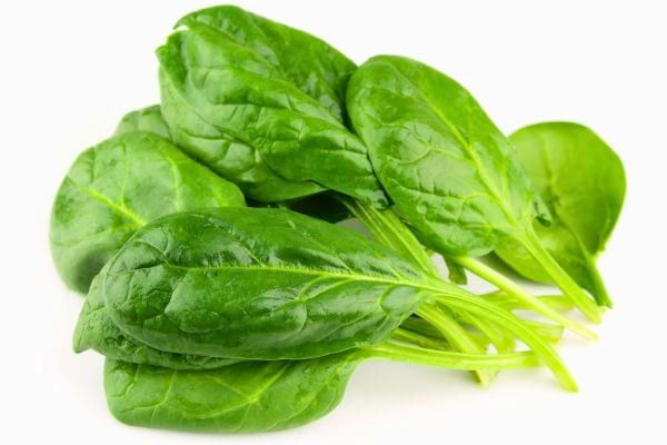 bouquet de feuilles d epinards frais de couleur verte vive