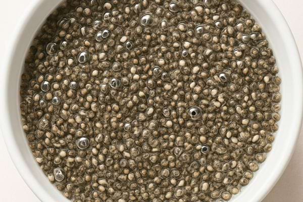 Des graines de chia gonflent dans l eau. Leur texture gelifiee est visible dans un bol blanc.