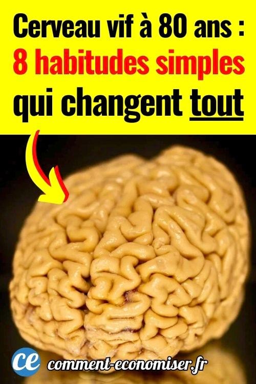 Mod&egrave;le anatomique de cerveau humain sur fond noir