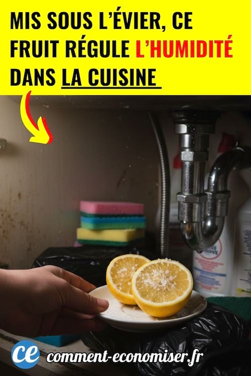 un citron coup&eacute; en deux avec du sel plac&eacute; sous un &eacute;vier