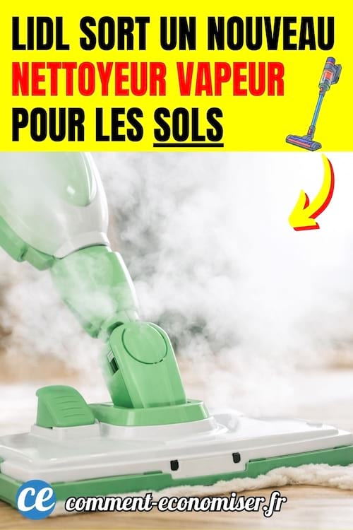 un nettoyeur vapeur lidl efficace et pas cher