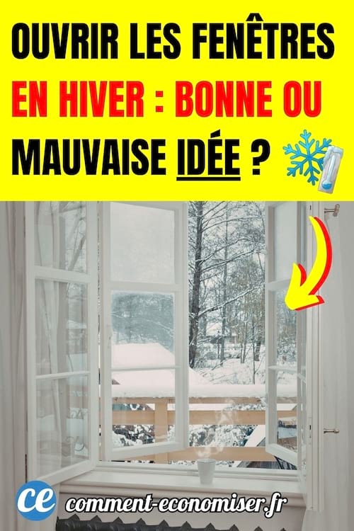 une fen&ecirc;tre d'une maison ouverte sur un jardin avec un paysage enneig&eacute;