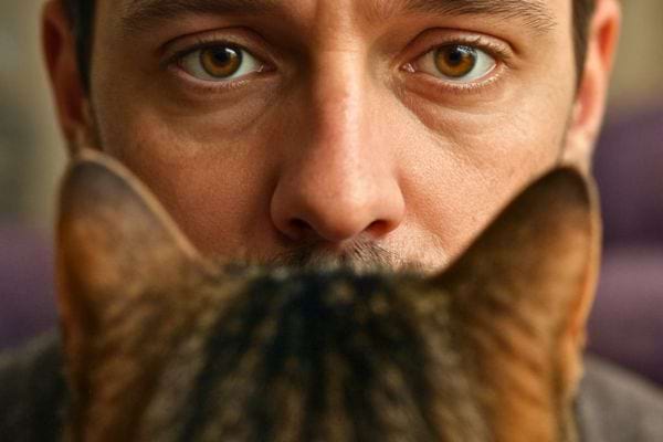 Gros plan sur les yeux dun homme fixes sur un chat vu de dos au premier plan.