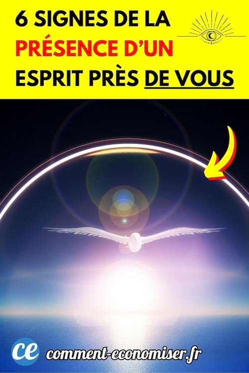 signes de la pr&eacute;sence d'un esprit