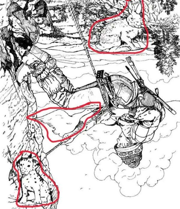 Solution : positions de l'oie, du li&egrave;vre et du chien r&eacute;v&eacute;l&eacute;es par des cercles rouges sur l'illustration