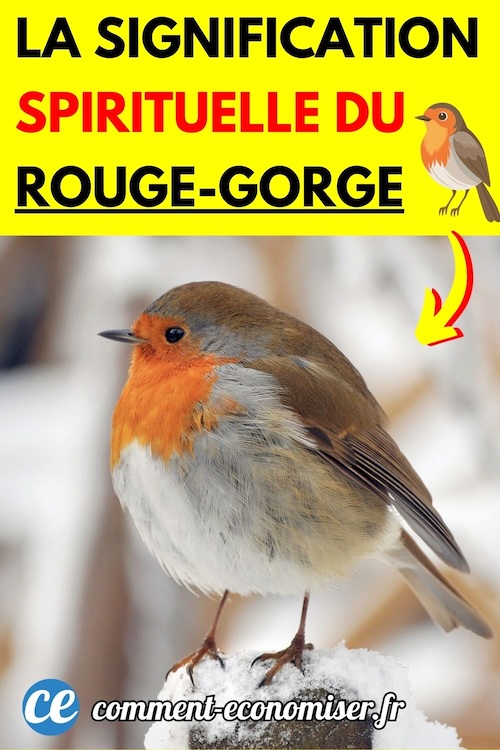 Signification Spirituelle Rouge Gorge