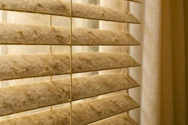 Des stores beiges sont couverts de poussiere visible pres dune fenetre.