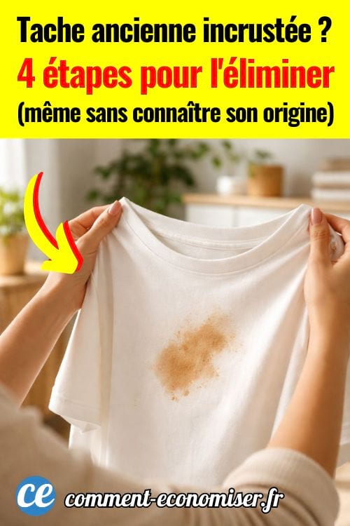 Femme tenant un t-shirt blanc avec une tache brune incrustée, décor lumineux et plantes vertes en arrière-plan