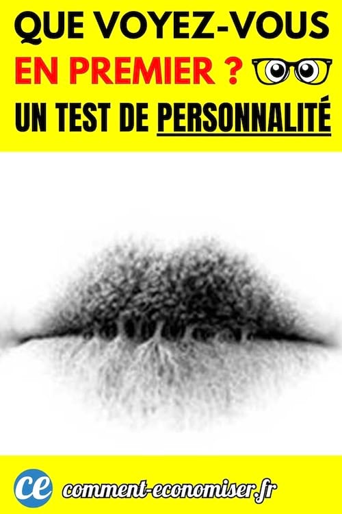 d&eacute;fi visuel pour savoir ce que l'on voit en premier et d&eacute;couvrir sa personnalit&eacute;