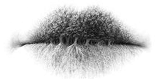 dessin test visuel pour d&eacute;terminer la personnalit&eacute; 