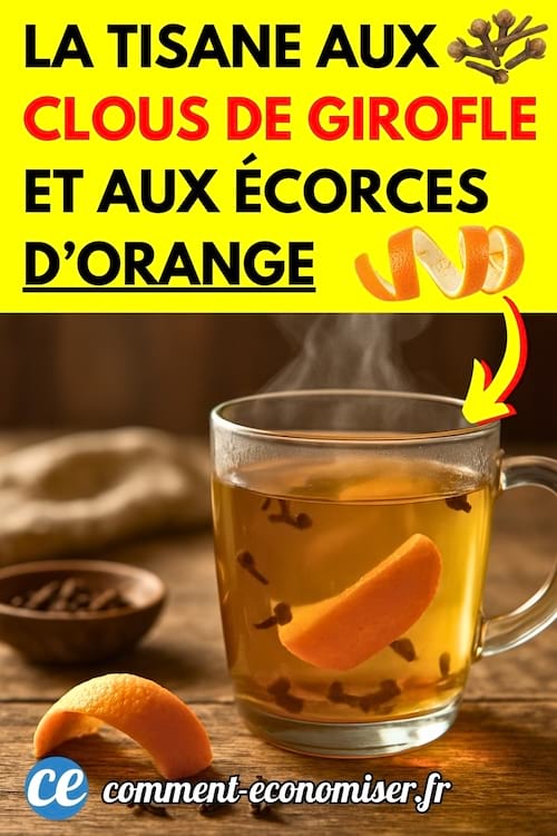 Une tisane avec des clous de girofle et &eacute;corces d'orange