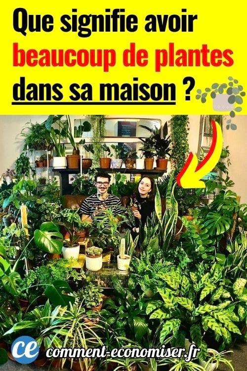 Couple assis sur un canap&eacute; entour&eacute; de nombreuses plantes vertes d&rsquo;int&eacute;rieur dans un salon lumineux.