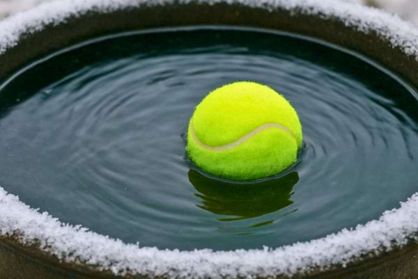 balle de tennis flottant dans un bac deau entoure de glace et de neige