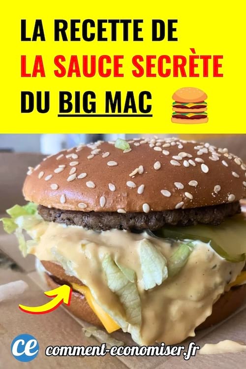 Recette simple pour refaire la sauce secrete du Big Mac a la maison. Gout proche de l’original.