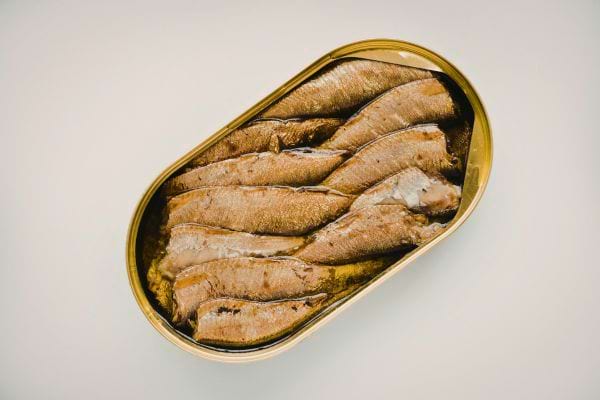 une boite ouverte de sardines montre des poissons ranges dans de lhuile