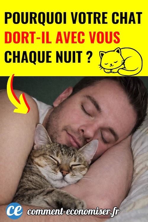 un chat tigr&eacute; dort dans les bras de son ma&icirc;tre dans un lit