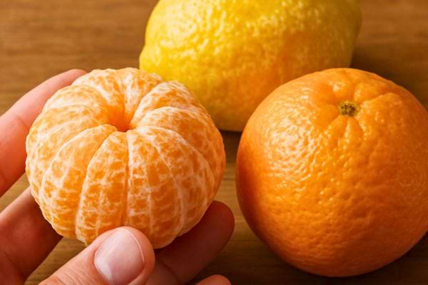 main tenant une clementine epluchee a cote dune orange et dun citron sur table en bois