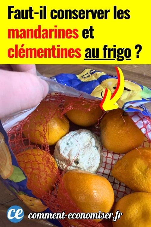 Sac de clémentines dont une moisie, question sur conservation au frigo.